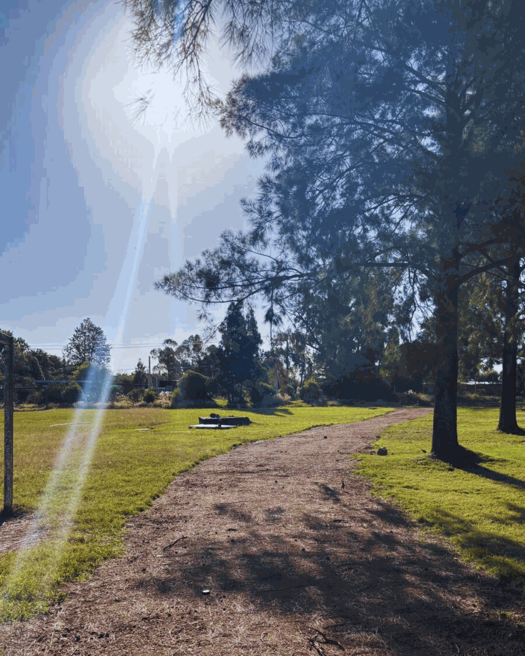 Odoo • Imagen y texto